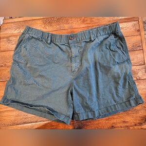 Bearbottom XXL 5.5" Teal Shorts